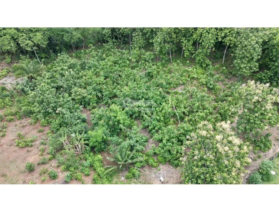 CAPIRA / VILLA CARMEN / 5783M / SPACIOUS LAND / SURROUNDED BY VEGETATION