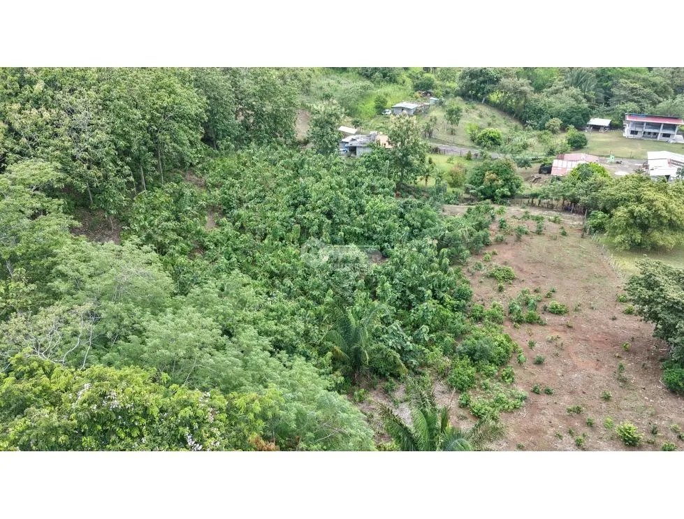 CAPIRA / VILLA CARMEN / 5783M / SPACIOUS LAND / SURROUNDED BY VEGETATION