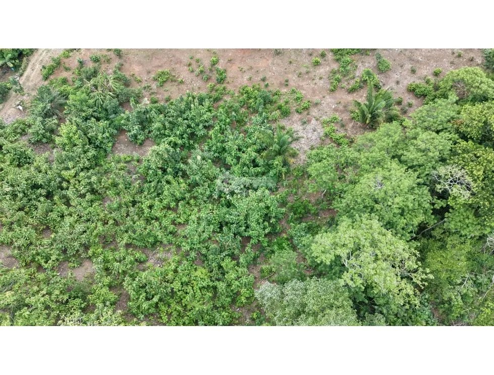 CAPIRA / VILLA CARMEN / 5783M / SPACIOUS LAND / SURROUNDED BY VEGETATION