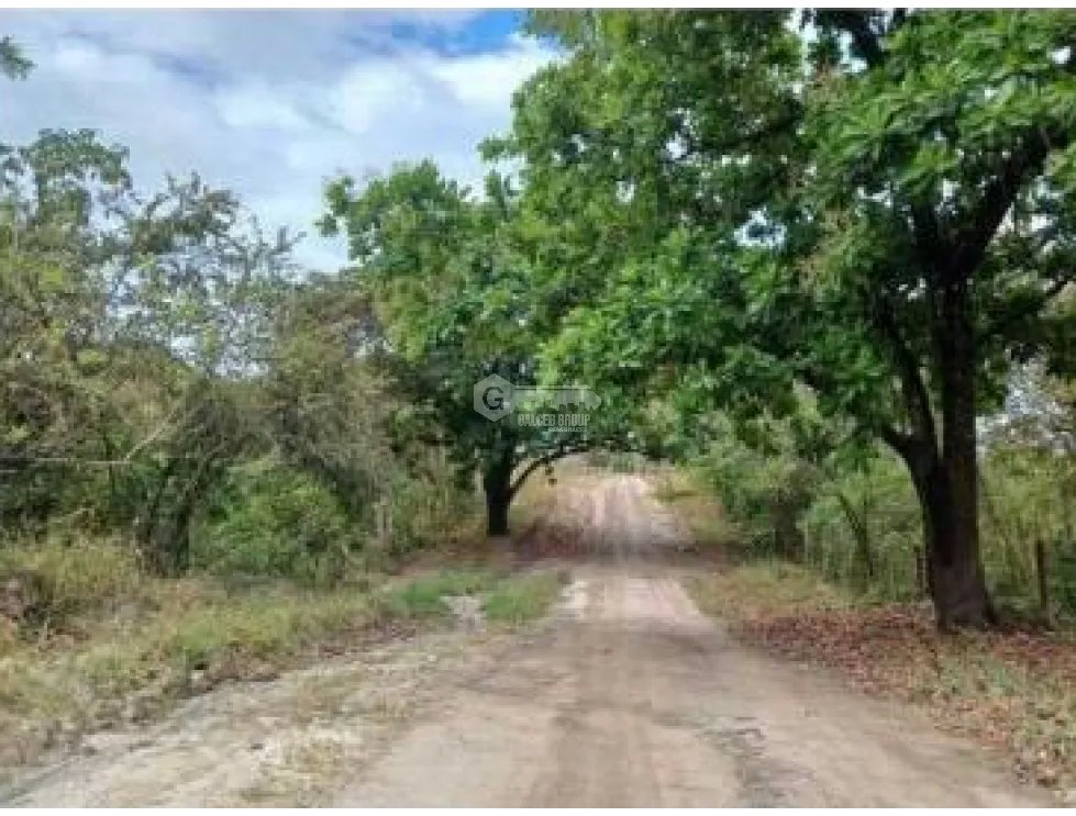 LAND FOR SALE IN CHAME LAS LAJAS 3.03 HECTARES GREEN AREAS