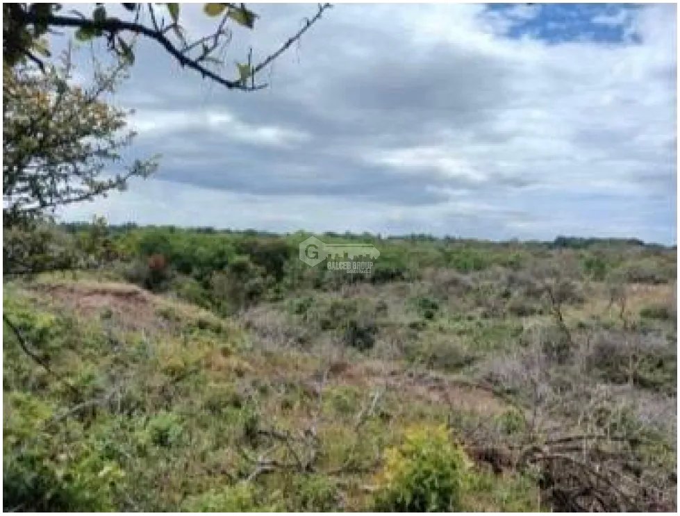 CHAME / LAS LAJAS / 3.03 HECTARES / LAND / GREEN AREAS / RIVER