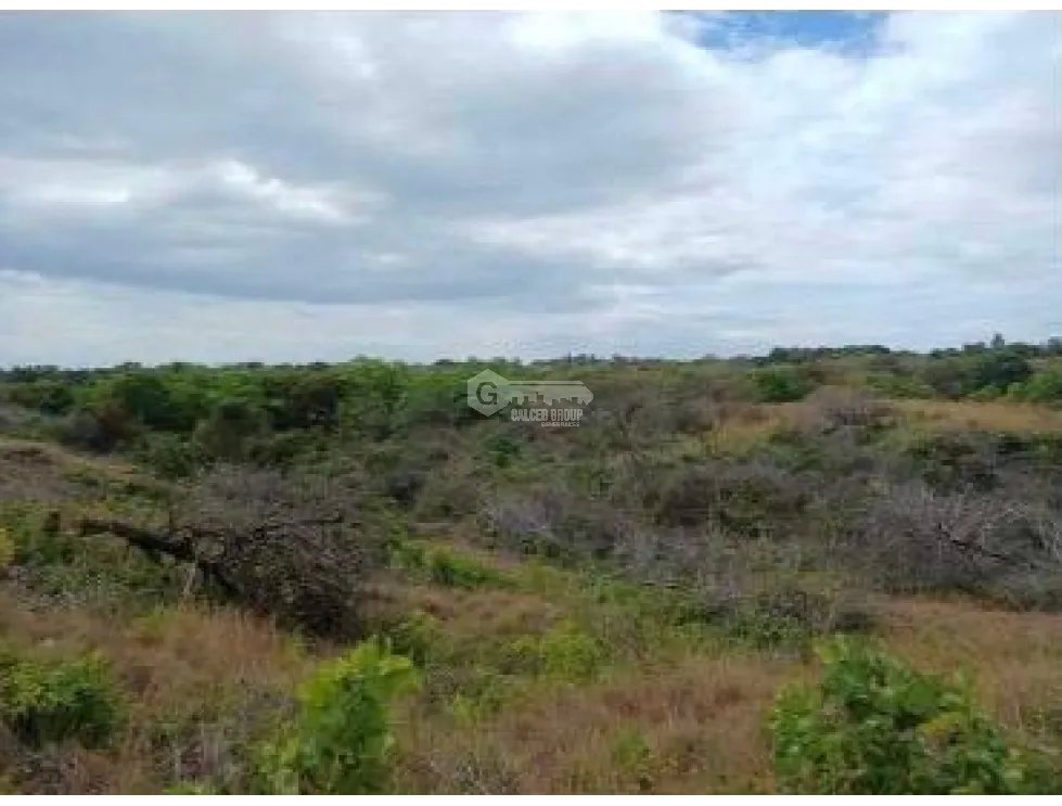 CHAME / LAS LAJAS / 3.03 HECTAREAS / TERRENO / ZONAS VERDES / RIO