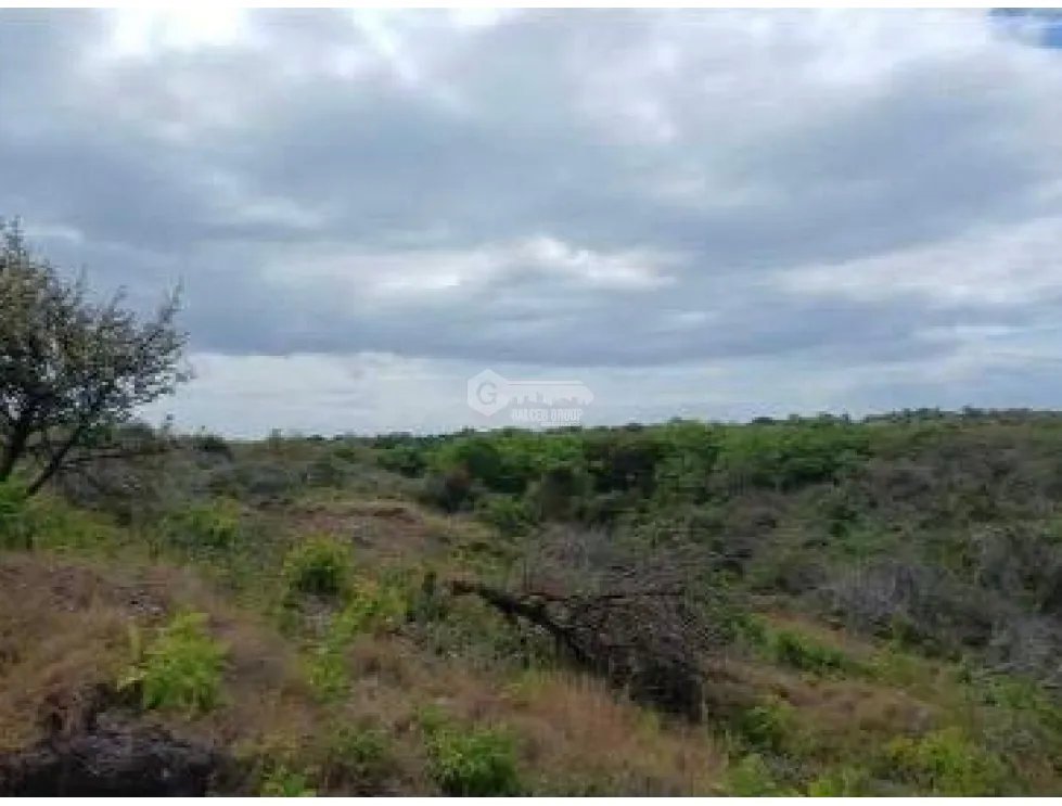 CHAME / LAS LAJAS / 3.03 HECTARES / LAND / GREEN AREAS / RIVER