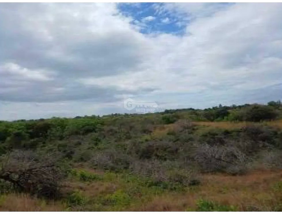 CHAME / LAS LAJAS / 3.03 HECTARES / LAND / GREEN AREAS / RIVER