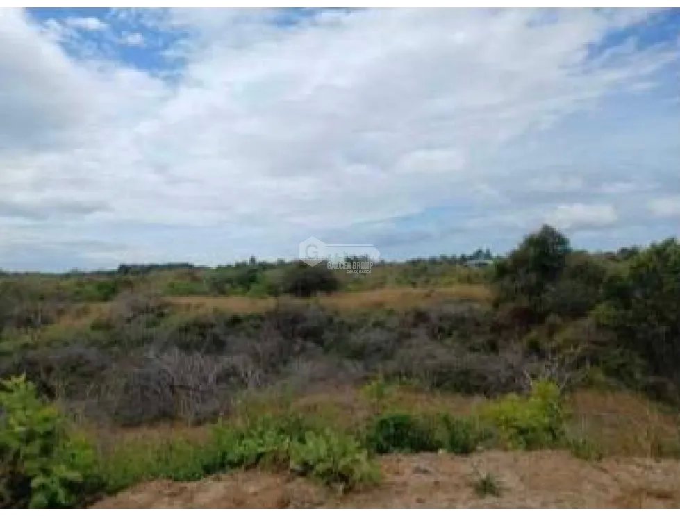CHAME / LAS LAJAS / 3.03 HECTARES / LAND / GREEN AREAS / RIVER