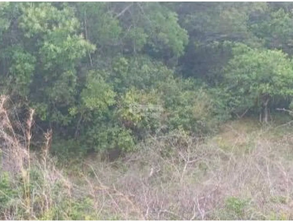CHAME / LAS LAJAS / 3.03 HECTARES / LAND / GREEN AREAS / RIVER