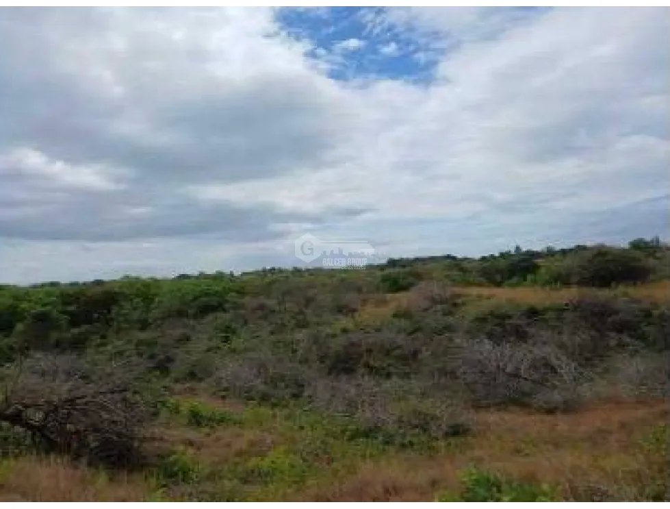 CHAME / LAS LAJAS / 3.03 HECTARES / LAND / GREEN AREAS / RIVER