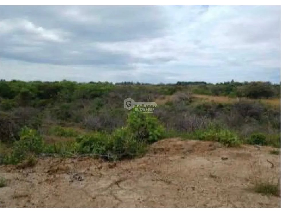 CHAME / LAS LAJAS / 3.03 HECTARES / LAND / GREEN AREAS / RIVER