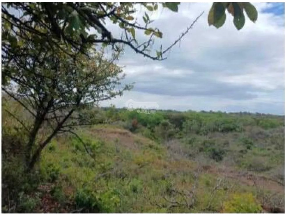 CHAME / LAS LAJAS / 3.03 HECTARES / LAND / GREEN AREAS / RIVER