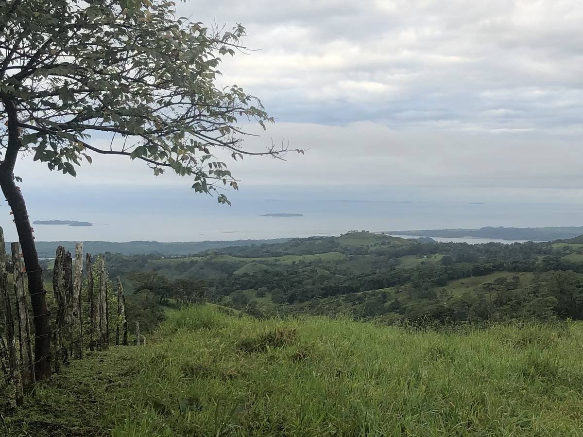 1.2 hectares of great views with springs and orchard