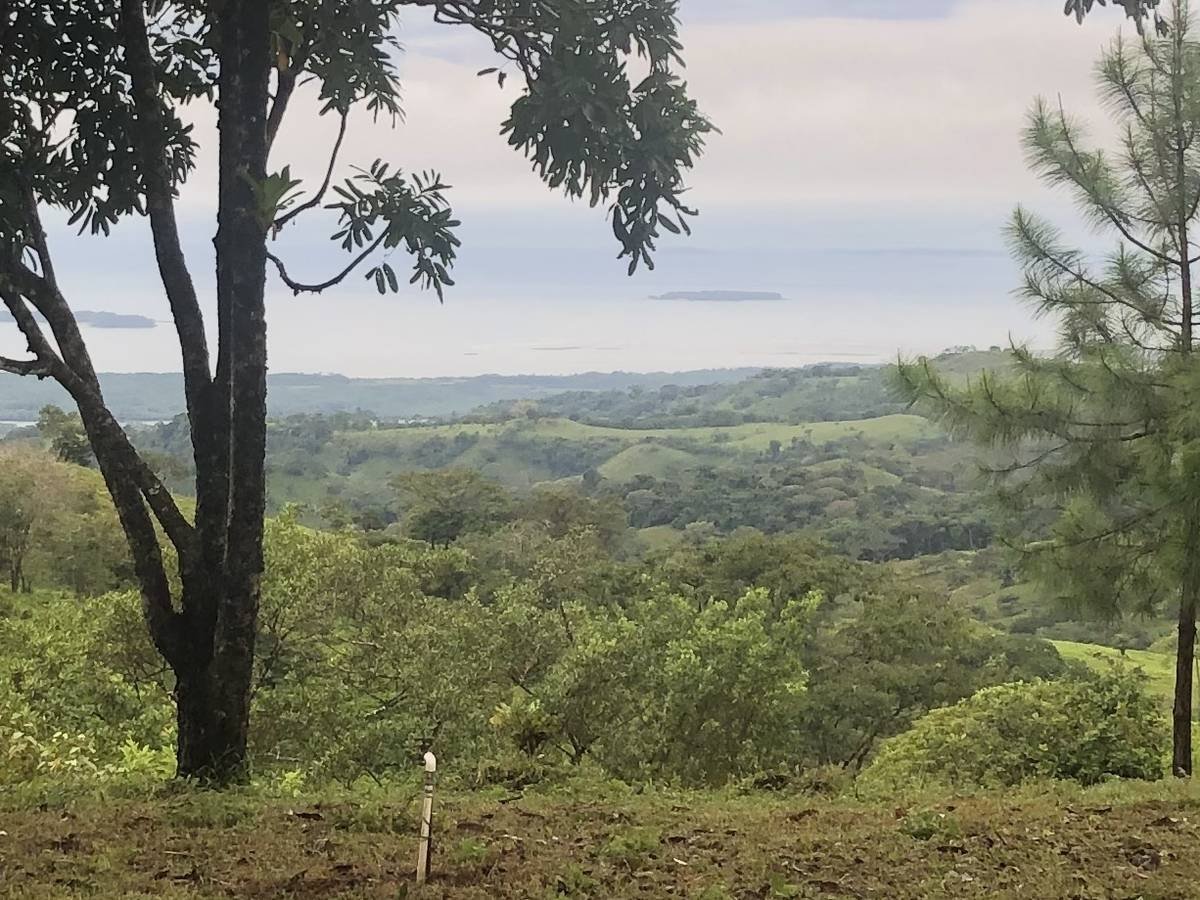 1.2 hectares of great views with springs and orchard