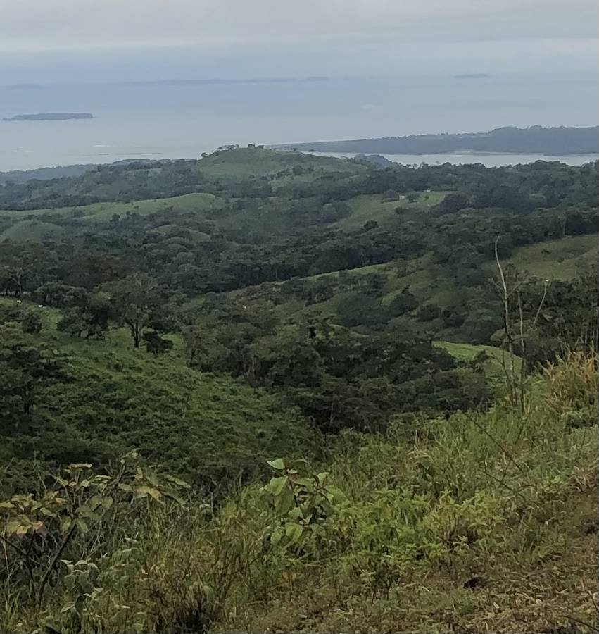 1.2 hectares of great views with springs and orchard