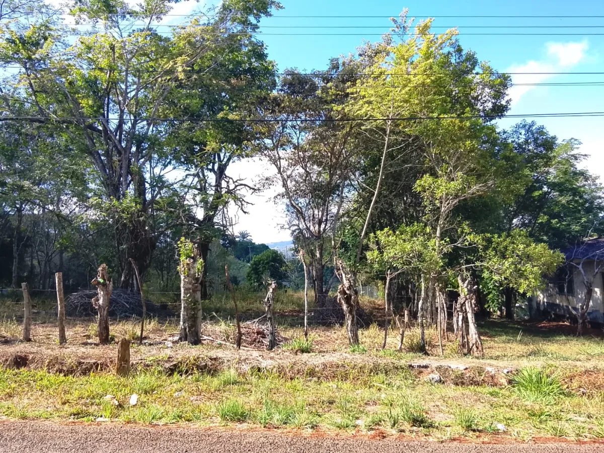 Sale of Commercial Land in Tole