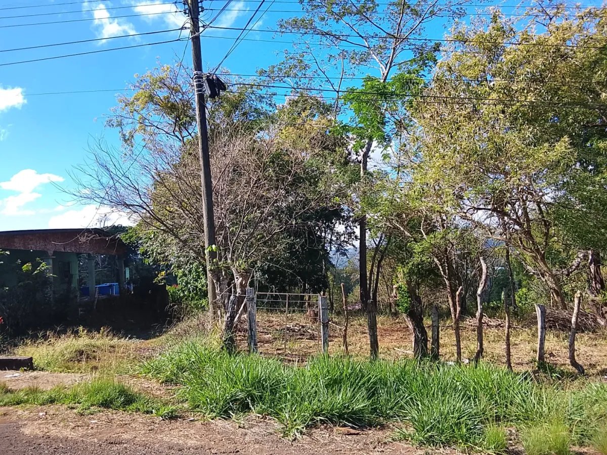 Sale of Commercial Land in Tole