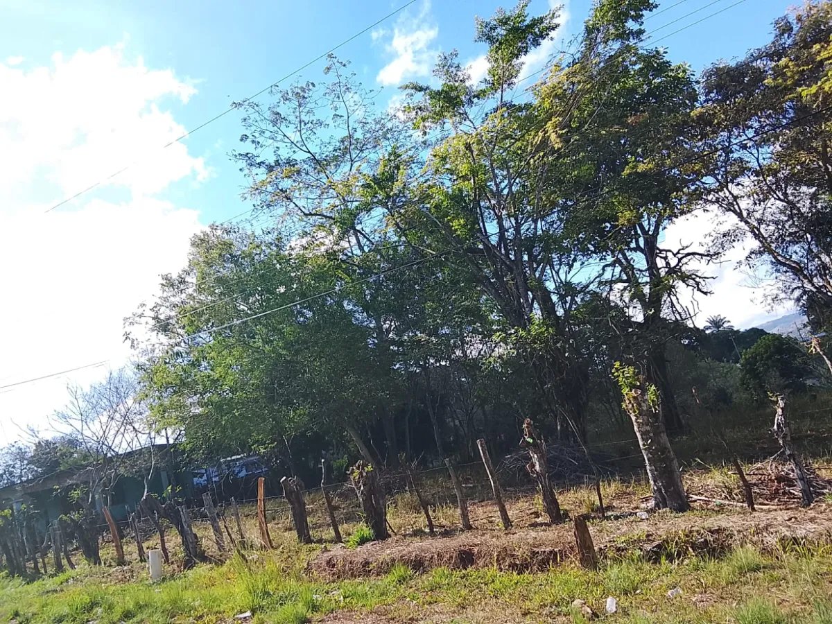 Sale of Commercial Land in Tole