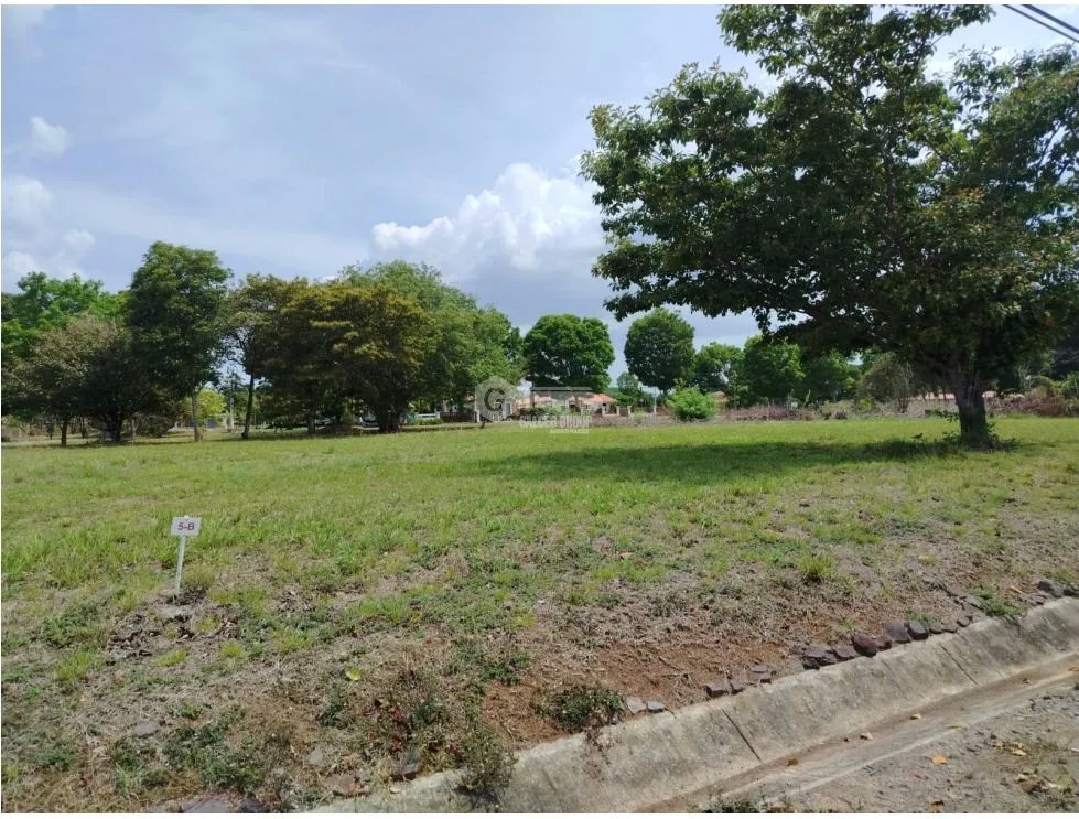 FLAT LAND FOR SALE 1000 M2 IN CHAME LA COLONIA WITH GREEN AREAS