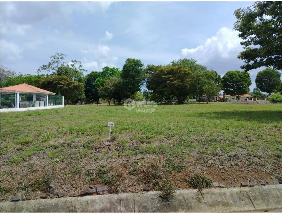 FLAT LAND FOR SALE 1000 M2 IN CHAME LA COLONIA WITH GREEN AREAS