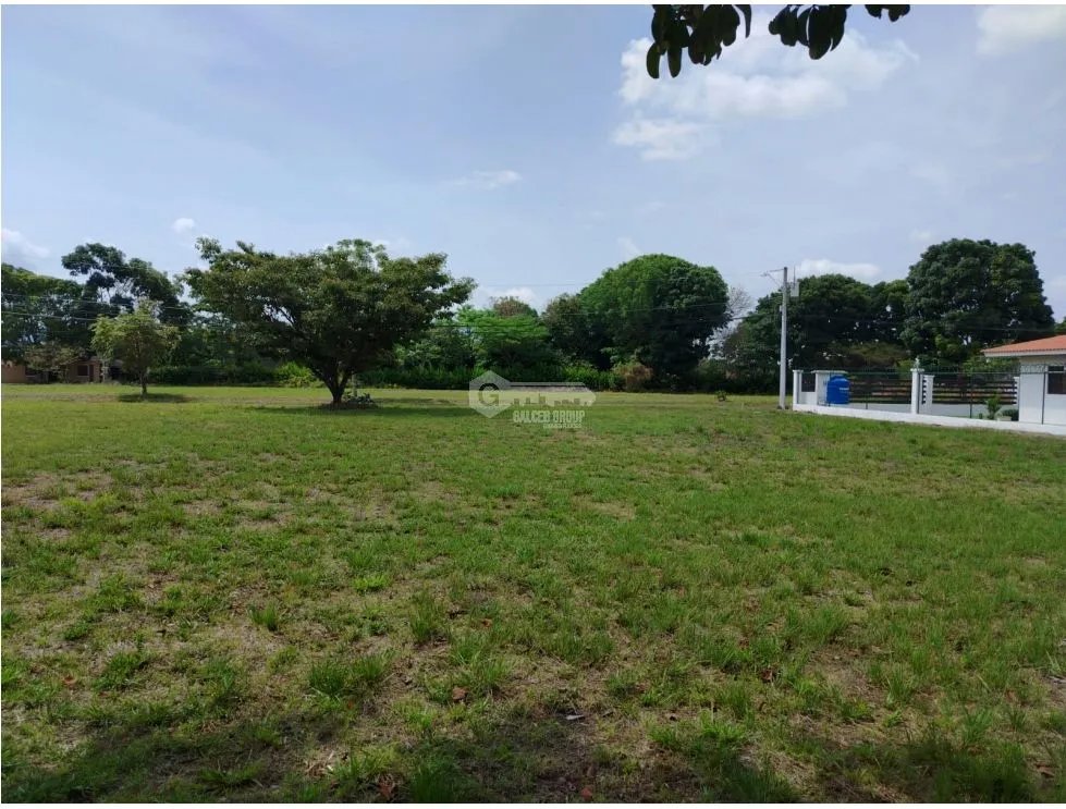 FLAT LAND FOR SALE 1000 M2 IN CHAME LA COLONIA WITH GREEN AREAS