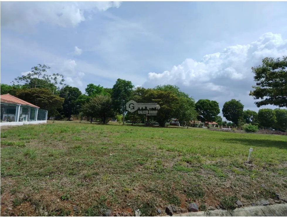 CHAME / LA COLONIA / 1000 M2 / FLAT LAND / GREEN AREAS / SWIMMING POOL