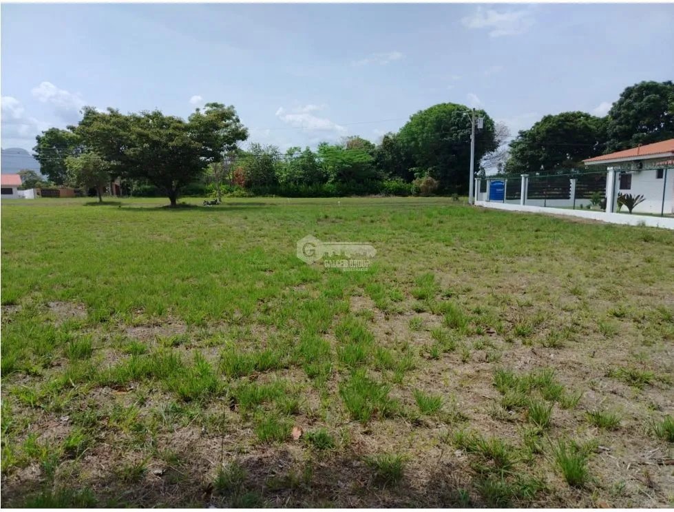 CHAME / LA COLONIA / 1000 M2 / FLAT LAND / GREEN AREAS / SWIMMING POOL