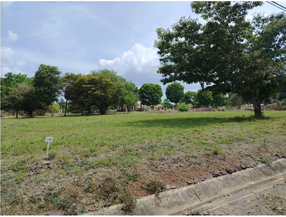 CHAME / LA COLONIA / 1000 M2 / FLAT LAND / GREEN AREAS / POOL