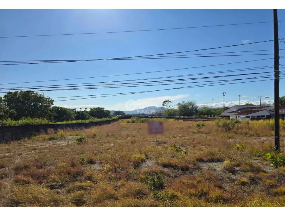 FLAT LAND FOR SALE 5000M IN PENONOMÉ VIA EL COCO GREEN ZONES