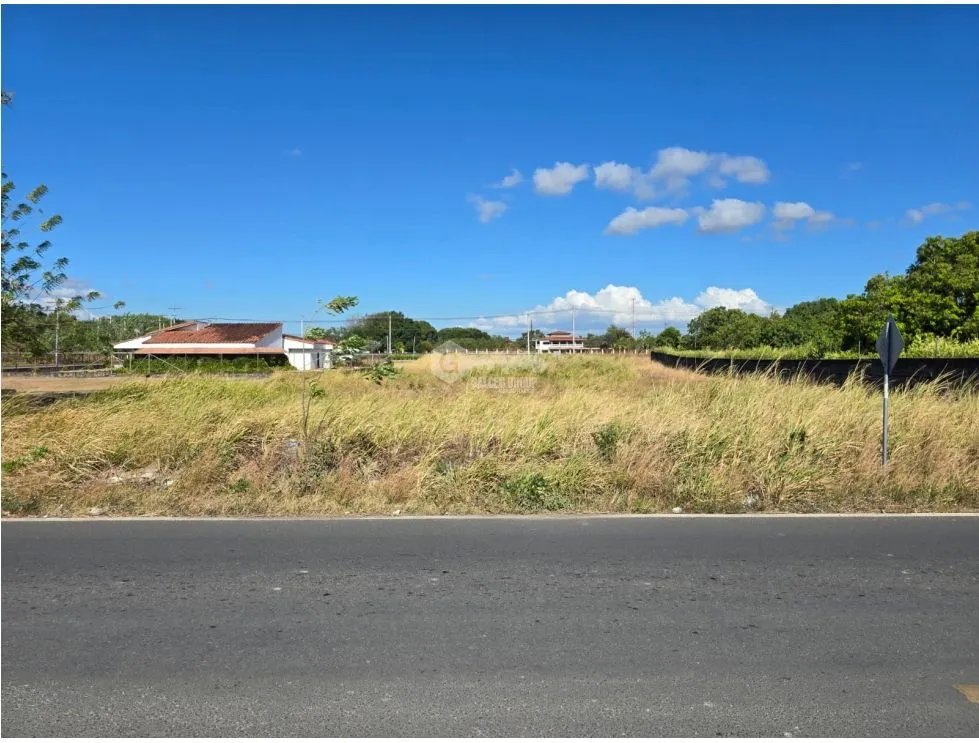 FLAT LAND FOR SALE 5000M IN PENONOMÉ VIA EL COCO GREEN ZONES