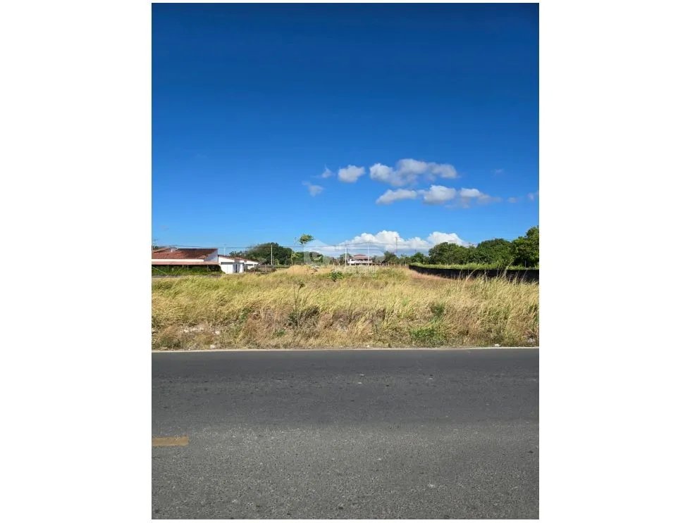 FLAT LAND FOR SALE 5000M IN PENONOMÉ VIA EL COCO GREEN ZONES