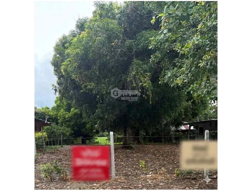 CHAME / BEJUCO / 4.5 HECTAREAS / TERRENO AMPLIO / ZONAS VERDES