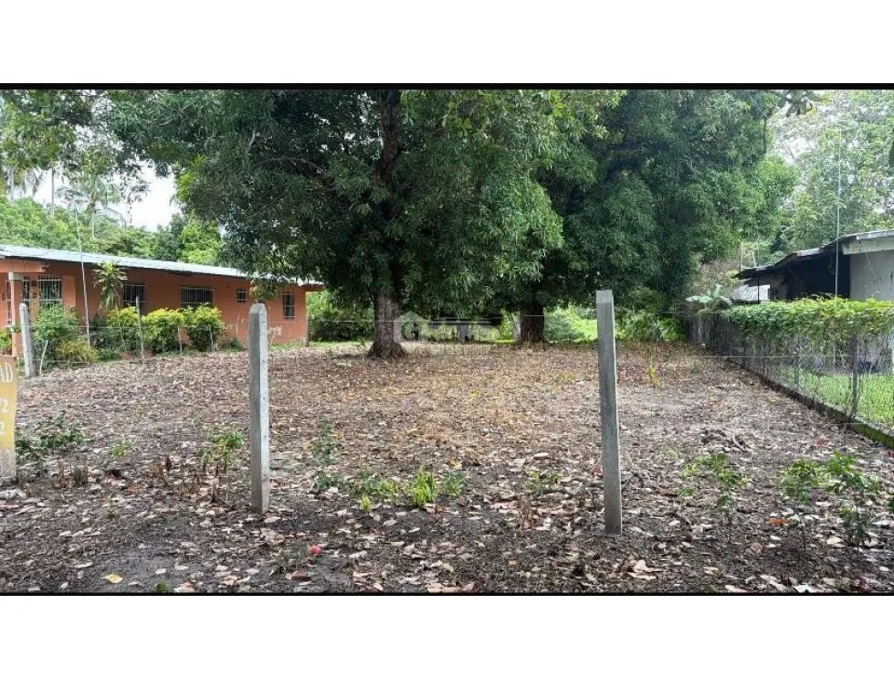 CHAME / BEJUCO / 4.5 HECTAREAS / TERRENO AMPLIO / ZONAS VERDES
