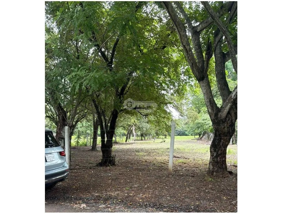 SE VENDE TERRENO 4.5 HECTAREAS EN CHAME BEJUCO CON ZONAS VERDES