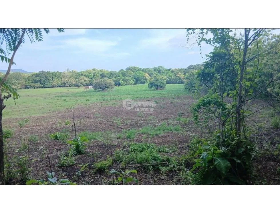 SE VENDE TERRENO 4.5 HECTAREAS EN CHAME BEJUCO CON ZONAS VERDES
