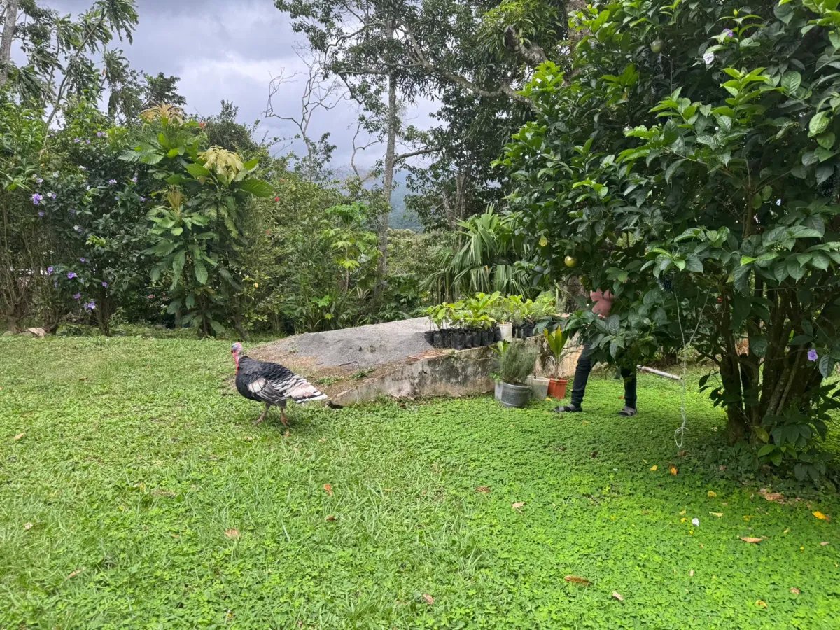 Casa en Venta en el Centro de Santa Fe, Veraguas – 1,899.55 m²