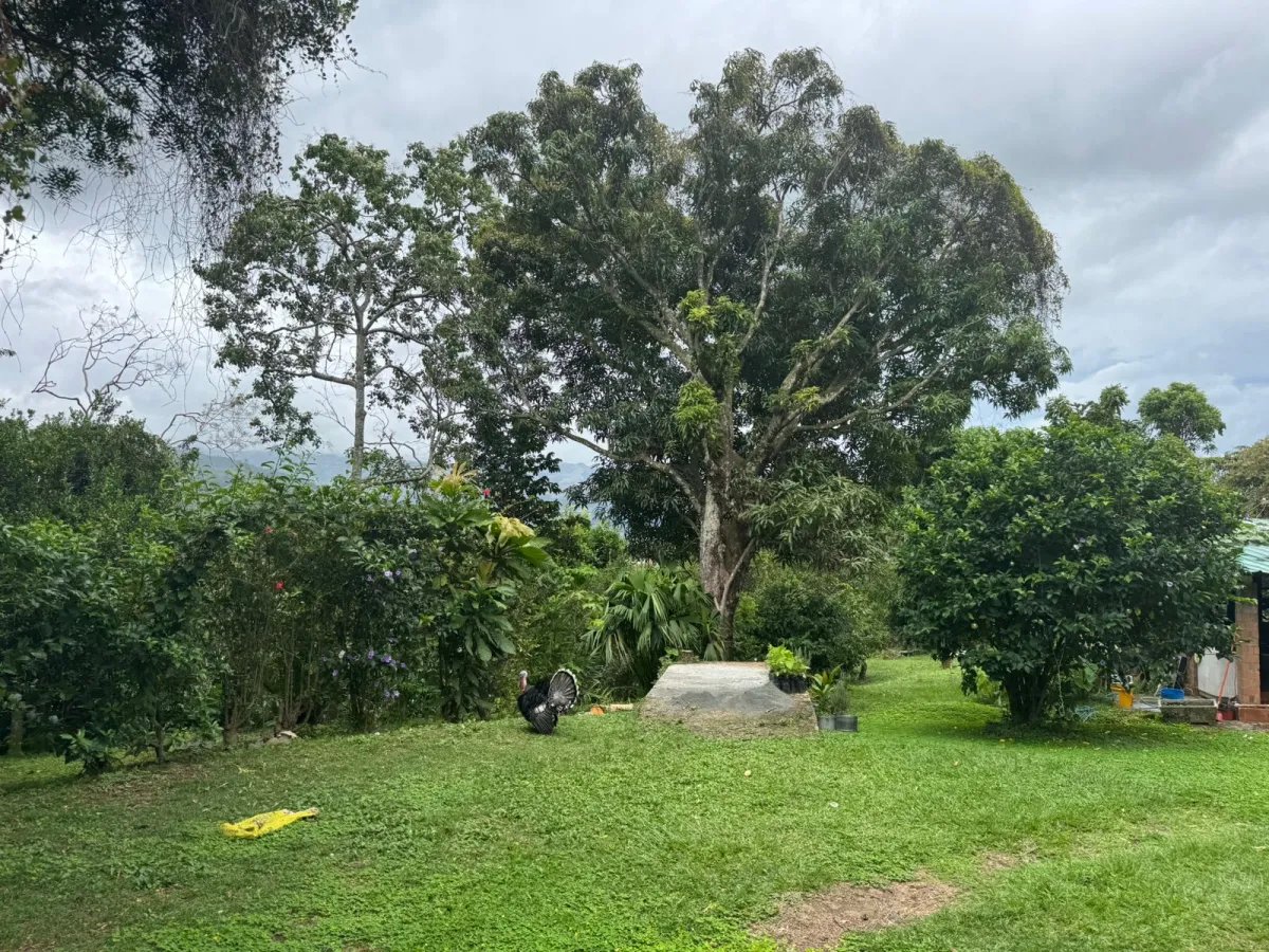Casa en Venta en el Centro de Santa Fe, Veraguas – 1,899.55 m²