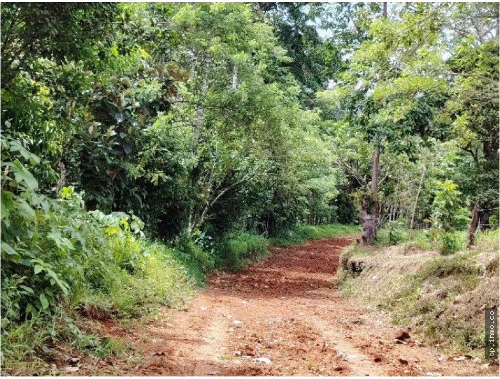 SE VENDE FINCA AGROPECUARIA EN COLÓN