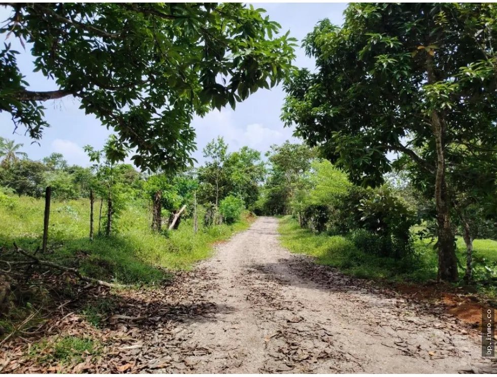 SE VENDE FINCA AGROPECUARIA EN COLÓN