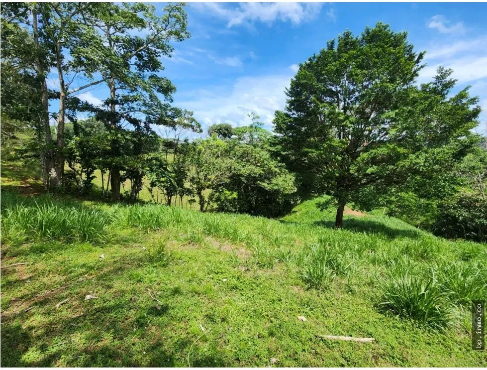 SE VENDE FINCA AGROPECUARIA EN COLÓN