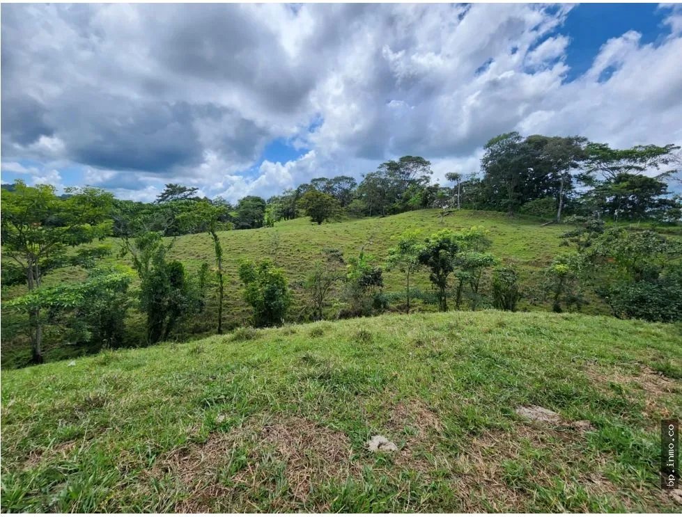 SE VENDE FINCA AGROPECUARIA EN COLÓN