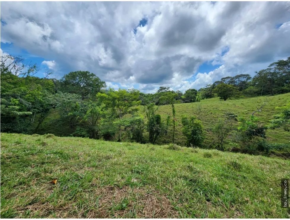 SE VENDE FINCA AGROPECUARIA EN COLÓN