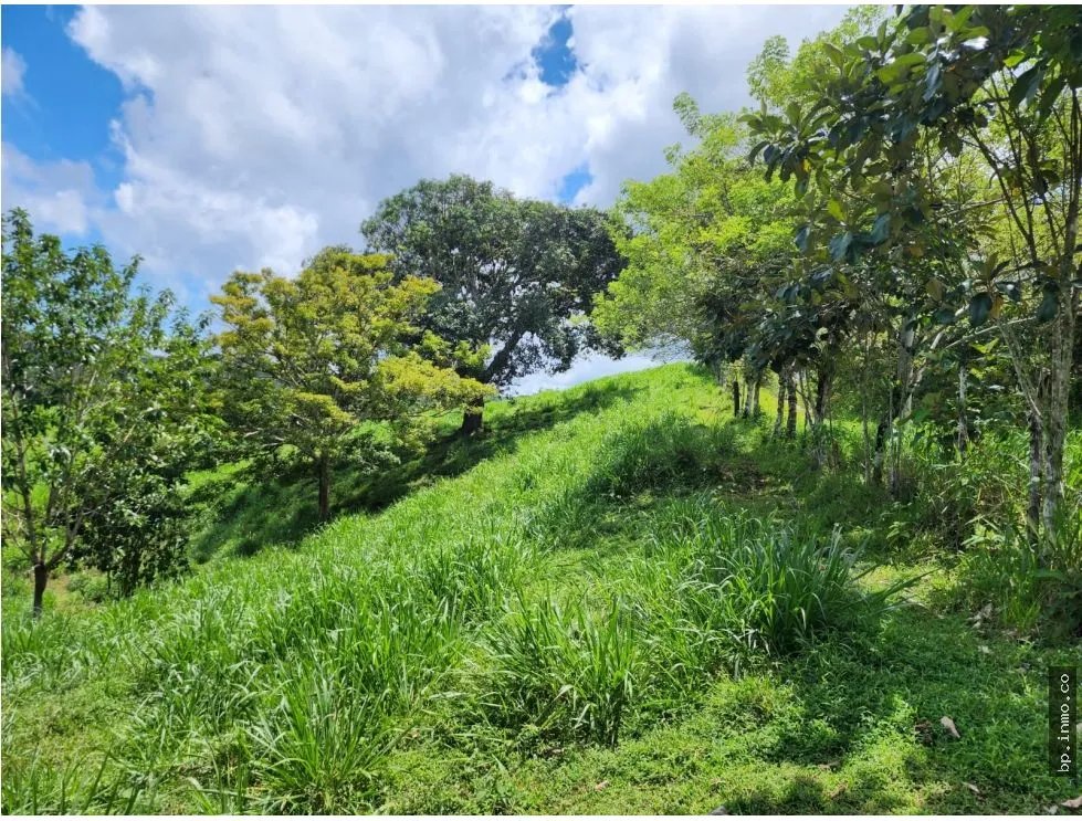 SE VENDE FINCA AGROPECUARIA EN COLÓN