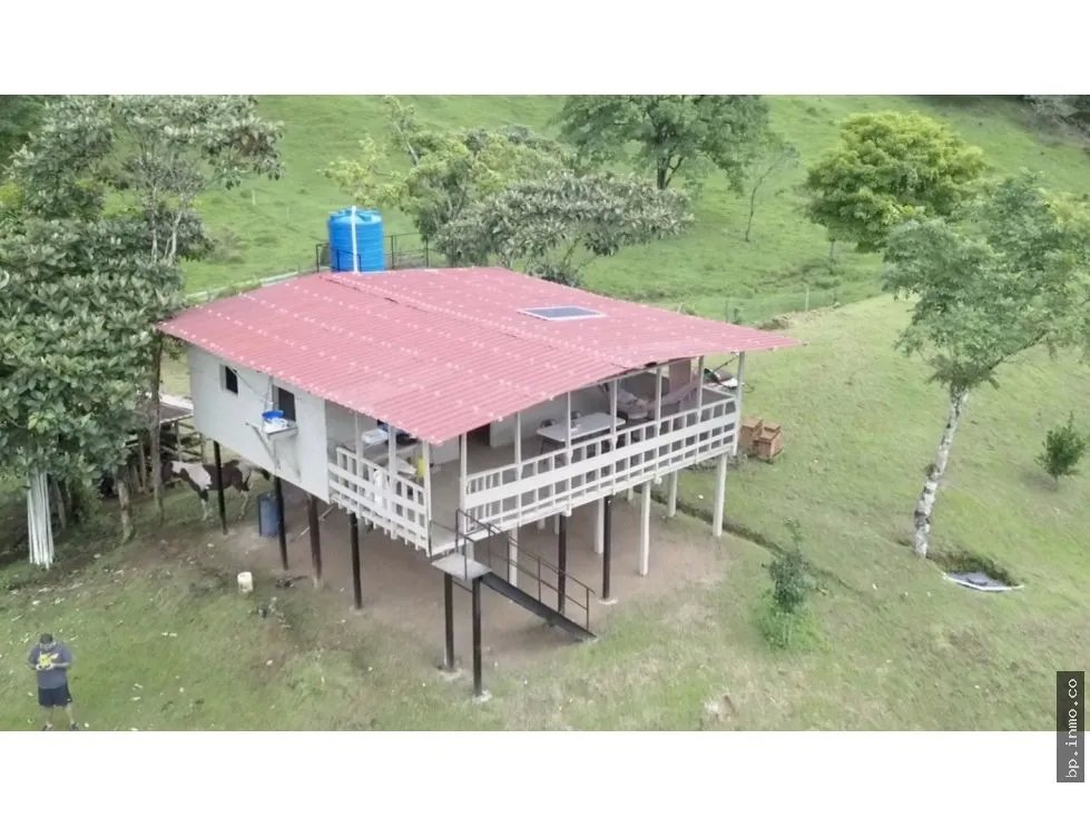 SE VENDE FINCA AGROPECUARIA EN COLÓN