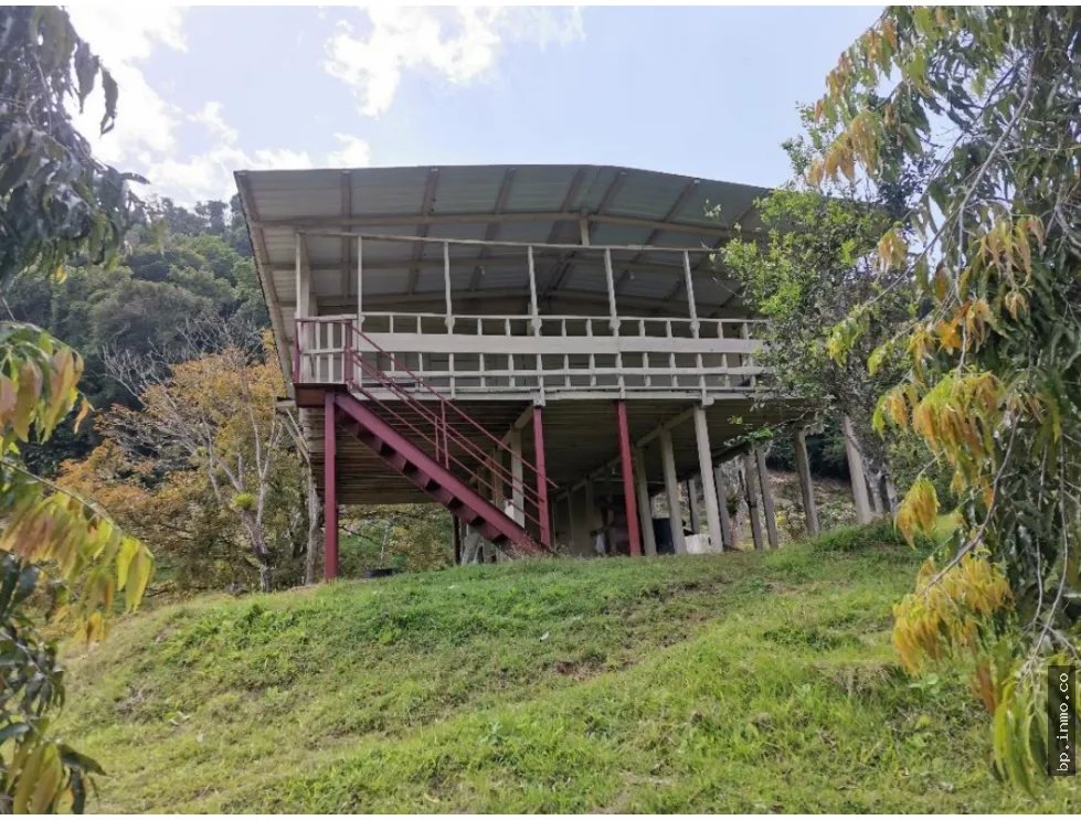 SE VENDE FINCA AGROPECUARIA EN COLÓN