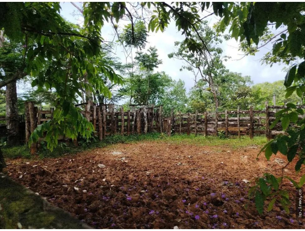SE VENDE FINCA AGROPECUARIA EN COLÓN