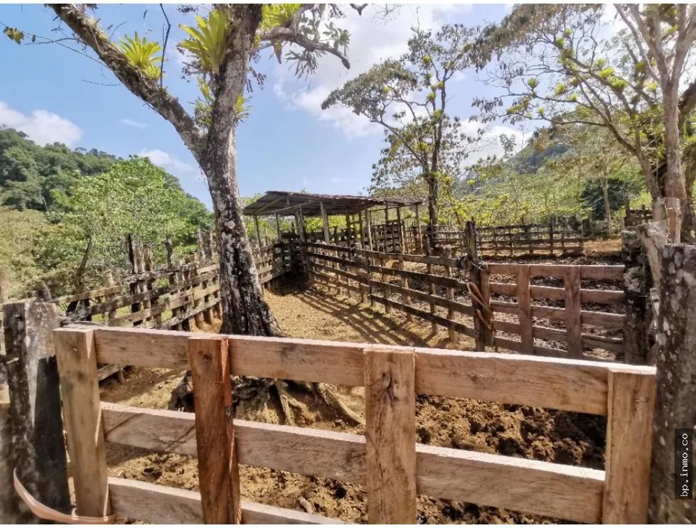 SE VENDE FINCA AGROPECUARIA EN COLÓN