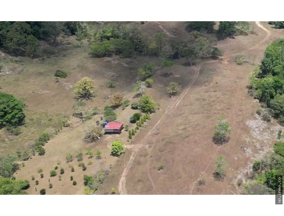 SE VENDE FINCA AGROPECUARIA EN COLÓN