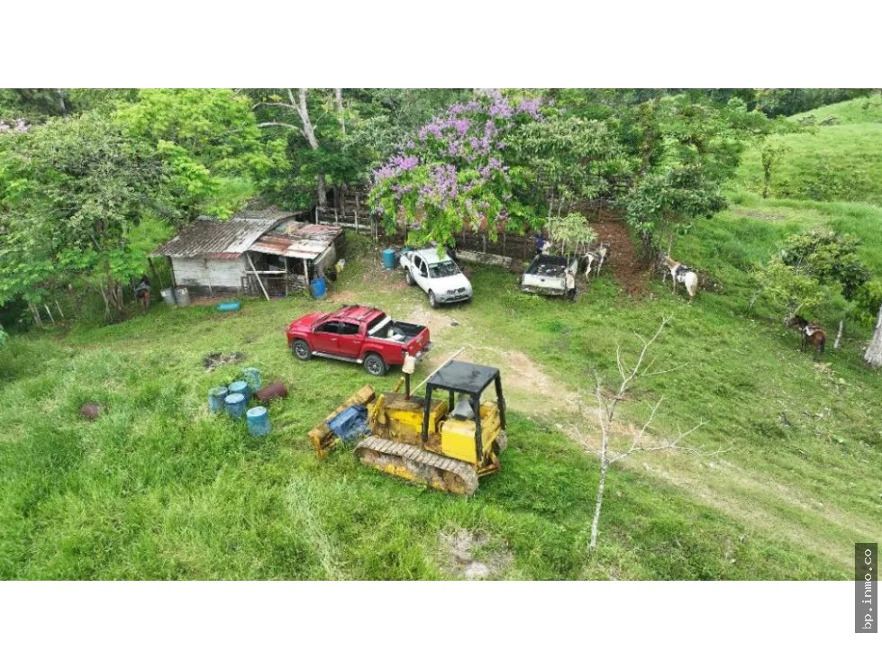 SE VENDE FINCA AGROPECUARIA EN COLÓN