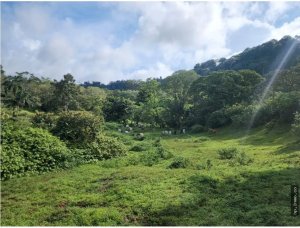 SE VENDE FINCA AGROPECUARIA EN COLÓN