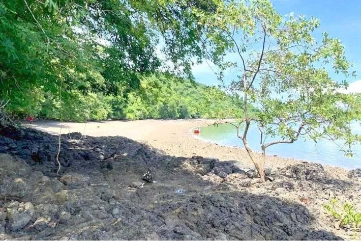 Isla Cebaco frente a la playa, con 1 hectárea (2.4 acres) de propiedad...