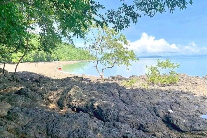 Isla Cebaco frente a la playa, con 1 hectárea (2.4 acres) de propiedad frente al mar, en una playa de arena