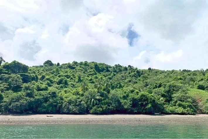 Isla Cebaco frente a la playa, con 1 hectárea (2.4 acres) de propiedad frente al mar, en una playa de arena